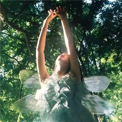 闪亮,闪亮,我的星辰